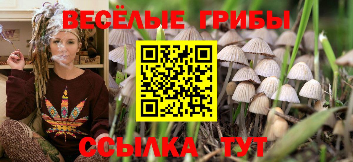 Псилоцибиновые грибы мицелий Екатеринбург