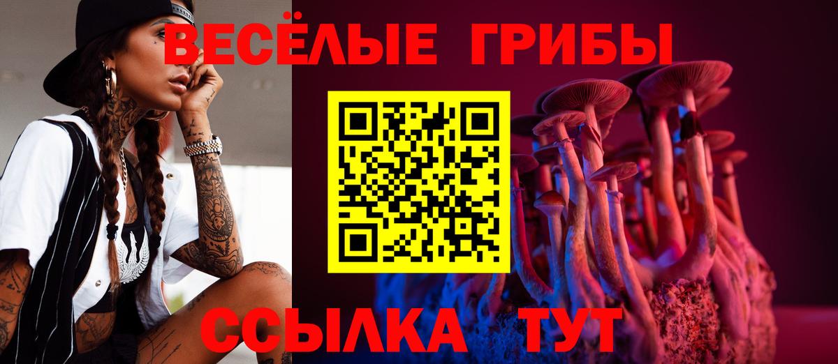 Псилоцибиновые грибы мухоморы  Вход с VPN  Екатеринбург 